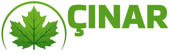 Çınar Akis